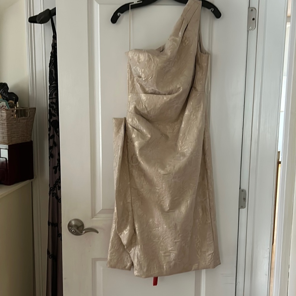 Terri John size 12 Mother of the Bride dress